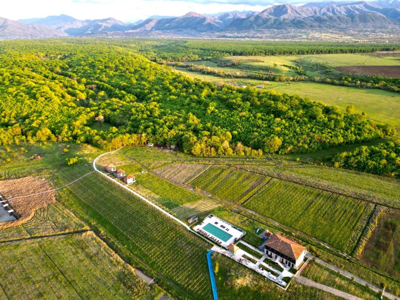 Chateau Vartsikhe Exterior foto